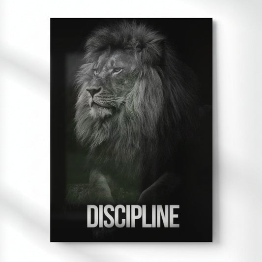 Discipline Metal Poster | Aesthetic Pop Art Wall Decor & Painting